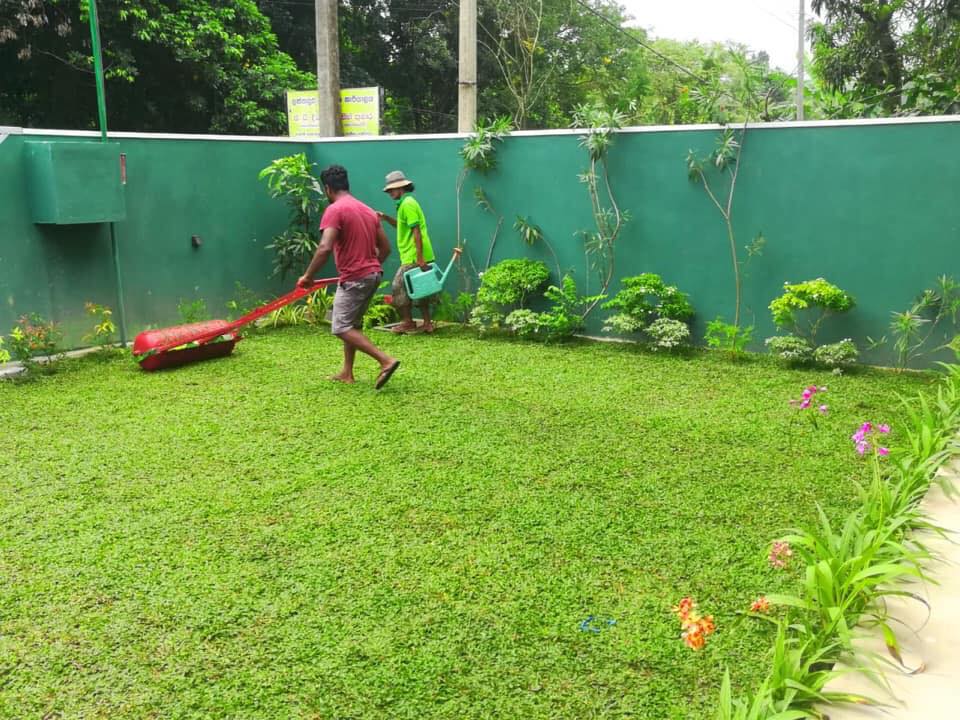 Lawn Maintenance