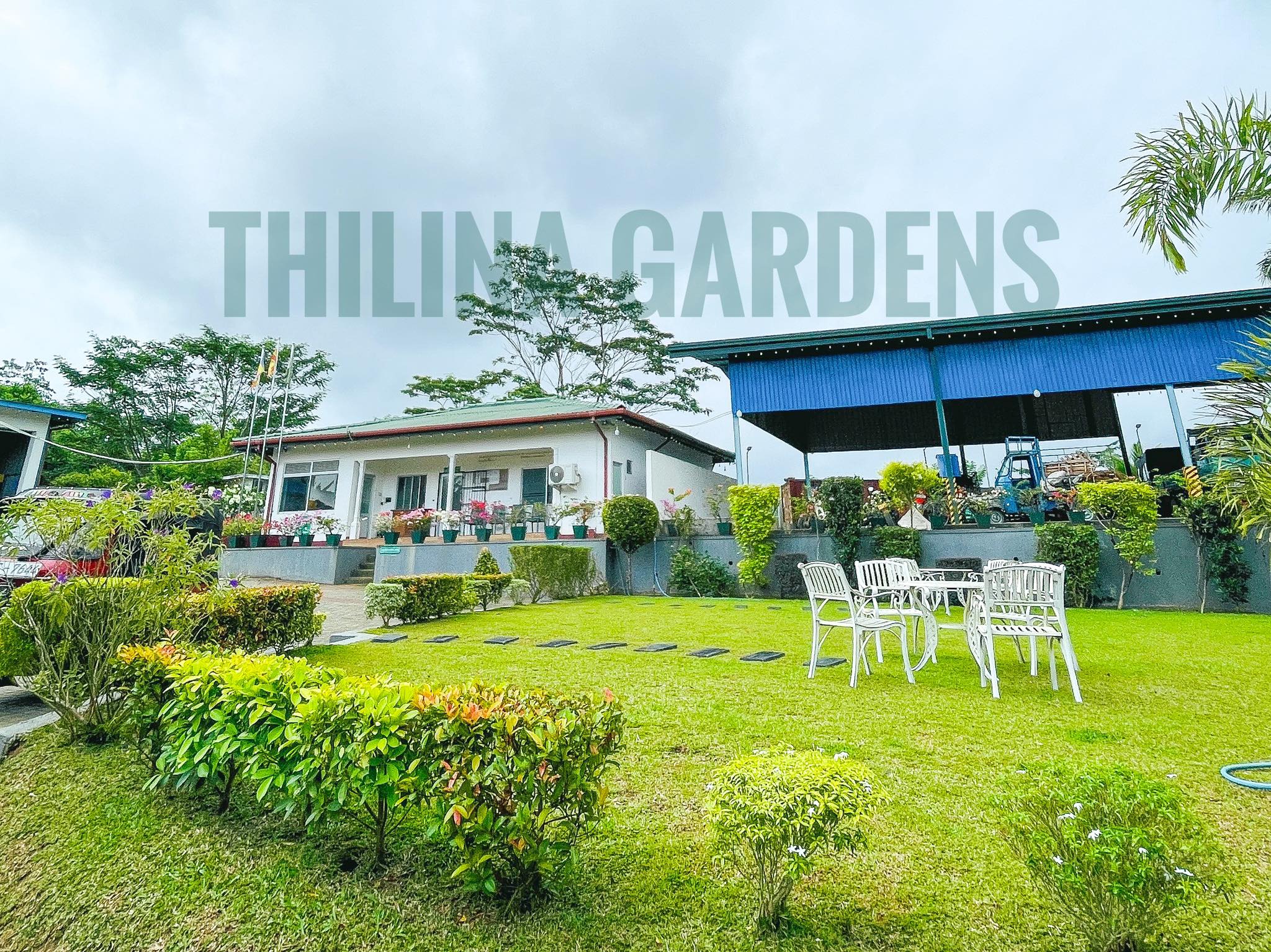 Professional Garden Landscaping